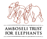 Amboseli Trust for Elephants-1587477280725