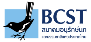 BCST Logo