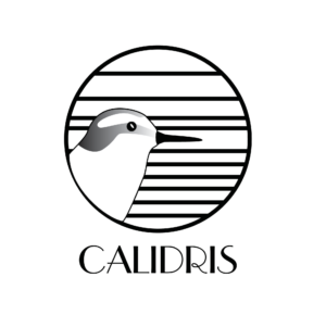 Calidris_png