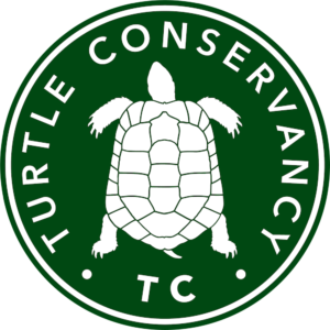 TC Logo